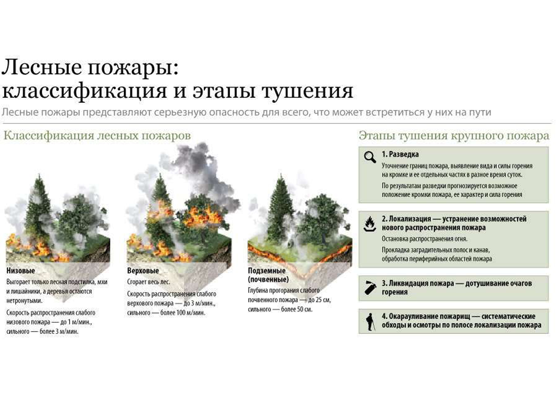 В следствии лесных пожаров. Схема ликвидации пожаров лесных. Классификация лесных пожаров схема. Классификация лесных и торфяных пожаров по силе. Причины лесных пожаров схема.